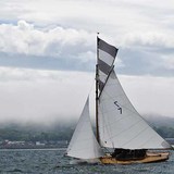 DSC_7605a.jpg