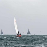 DSC_7641a.jpg
