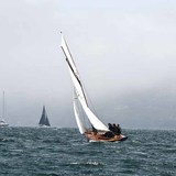 DSC_7647a.jpg