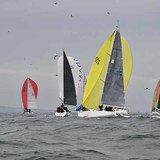DSC_7511a.jpg