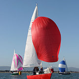 CT0027.jpg