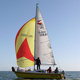 CT0041.jpg