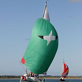 CT0100.jpg