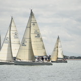 DSC_3726.JPG