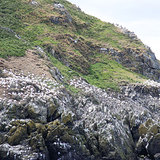 DL0085.jpg