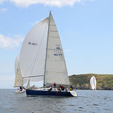 DM0034.jpg