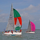 BF0042.jpg