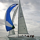 BF0056.jpg